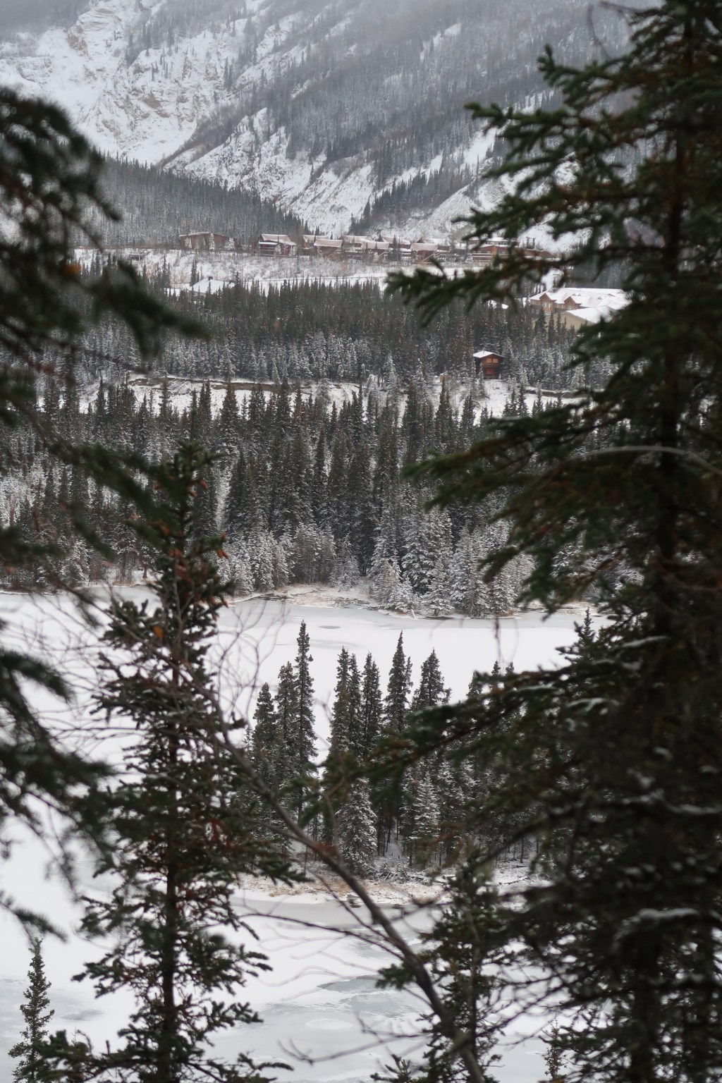 Visions in the Alaskan Interior